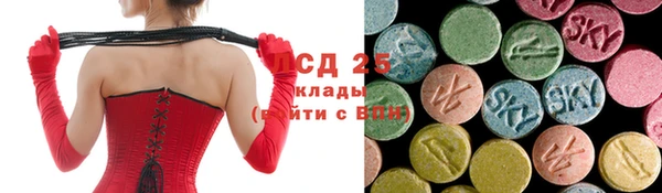 ГАЛЛЮЦИНОГЕННЫЕ ГРИБЫ Алзамай