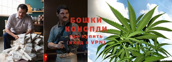ГАЛЛЮЦИНОГЕННЫЕ ГРИБЫ Алзамай