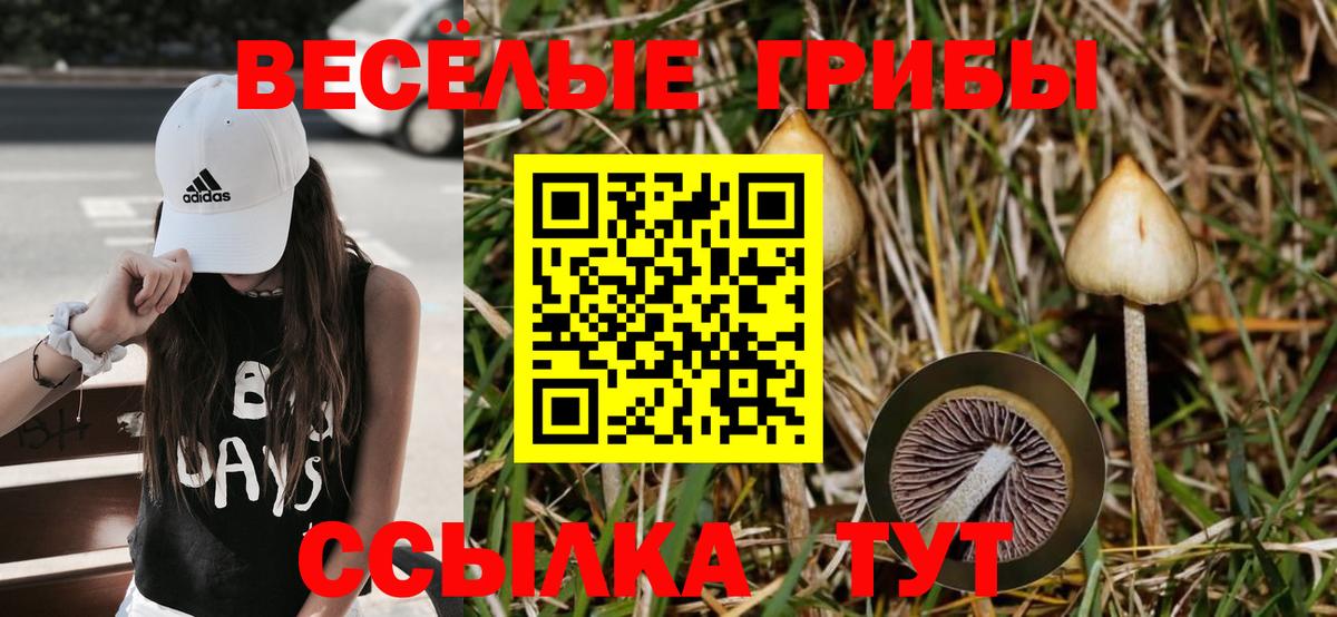 Рубцовск  Галлюциногенные грибы ЛСД  Вход с VPN 